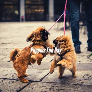 Puppies Fun Day - Fashionable Doggy Music