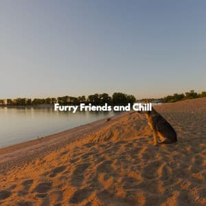 Furry Friends and Chill - Music for Retail Stores