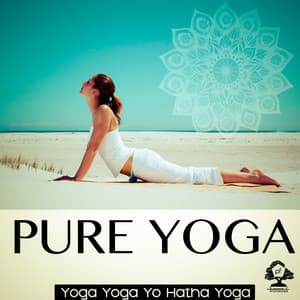 Pure Yoga - Yoga