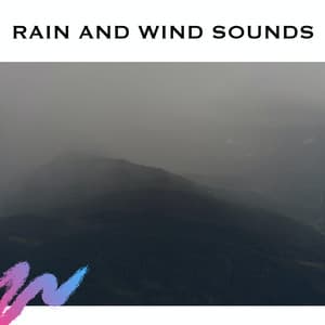 Rain and Wind Sounds - ASMR Earth