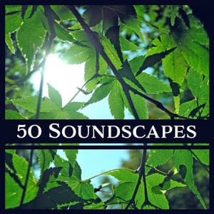 50 Soundscapes: Zen New Age & Nature Sounds for Meditation, Yoga, Spa & Deep Relaxation, Healing Therapy Music - Nature Sounds Paradise