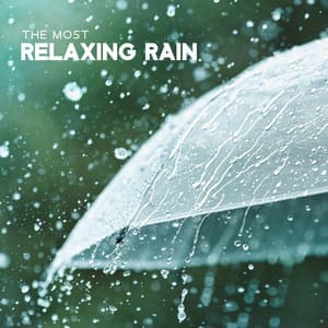 The Most Relaxing Rain: White Noise Sounds & Music To Chill | Sleep, Work, Study, Meditate - The Wind Of Calm