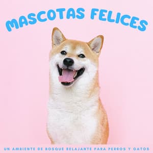 Mascotas Felices: Un Ambiente De Bosque Relajante Para Perros Y Gatos - Naturaleza Sonidos de la Tierra