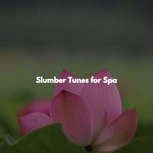 Slumber Tunes for Spa - Spa Music Playlist
