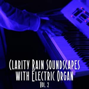 Clarity Rain Soundscapes with Electric Organ Vol. 2 - Spa Music Bliss