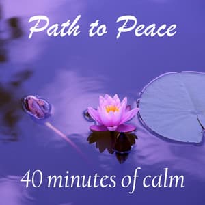 Tranquil Meditation Breath of Yoga - Path to Peace