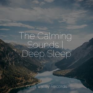 The Calming Sounds | Deep Sleep - Sleep Sounds