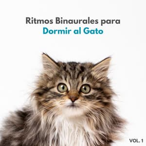 Ritmos Binaurales Para Dormir Al Gato Vol. 1 - Ritmo binaural