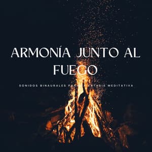 Armonía Junto Al Fuego: Sonidos Binaurales Para La Éxtasis Meditativa - Sat-Chit