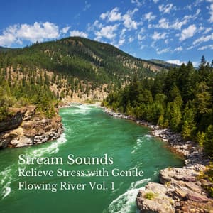 Stream Sounds: Relieve Stress with Gentle Flowing River Vol. 1 - Classical Music Station