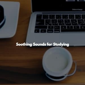 Soothing Sounds for Studying - Entspannte Jazz Musik