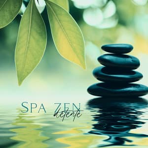 Spa zen détente: Musique de fond pour la méditation et le massage - Zone de la musique zen