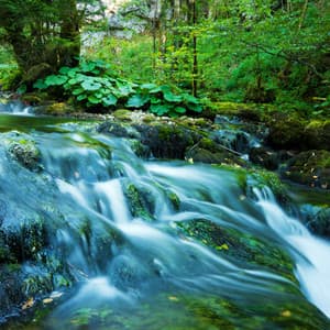 Meditative Sounds: Serenity by the Stream's Edge Beyond - Waves of Relax