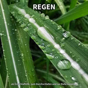 Regen als Einschlafhilfe, zum Durchschlafen und zur Ruhe kommen - Regengeräusche