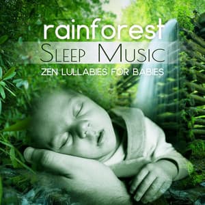 Rainforest Sleep Music: Zen Lullabies for Babies, Soothing Nature Sounds, Sweet Dreaming - Natural Cure Sleep Land