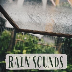 Rain Sounds- Natural White Noise - Nature Recordings