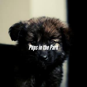 Pups in the Park - Relaxation Music For Dogs
