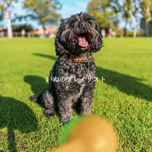 いぬのプレイリスト - Sunday Morning Jazz Vibes