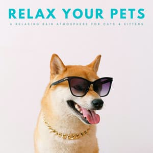 Relax Your Pets: A Relaxing Rain Atmosphere For Cats & Kittens - Music For Cats