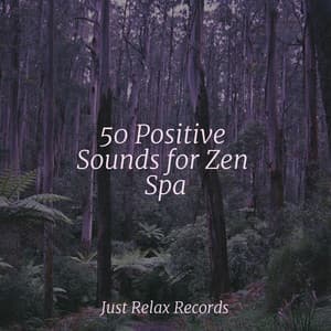 50 Positive Sounds for Zen Spa - Chillout Lounge
