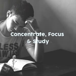 Concentrate, Focus & Study - Concentration Study