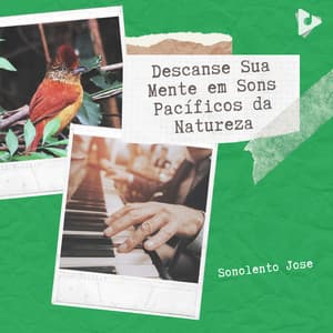Descanse Sua Mente em Sons Pacíficos da Natureza - Sonolento Jose