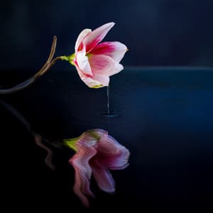 The River of Mantras, Tibetan Anxiety Wash - Steven Gorden