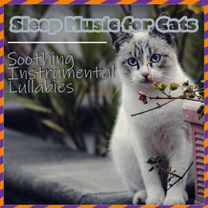 Sleep Music for Cats - Soothing Instrumental Lullabies - RelaxMyCat