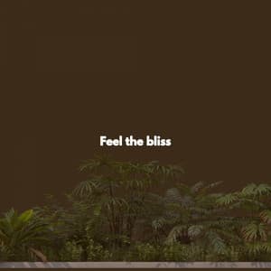 Feel the bliss - Gentle Piano Jazz