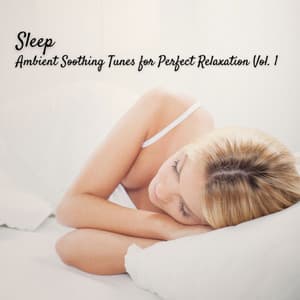 Sleep: Ambient Soothing Tunes for Perfect Relaxation Vol. 1 - The Sleep & Focus Group
