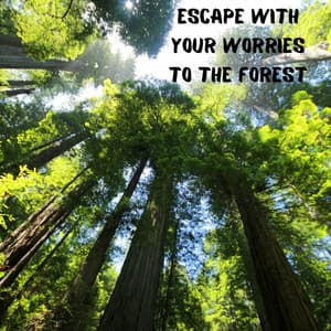 Escape with Your Worries to the Forest and Feel the Surrounding Peace and Quiet. Let Your Head Relax - Feel Better Unit