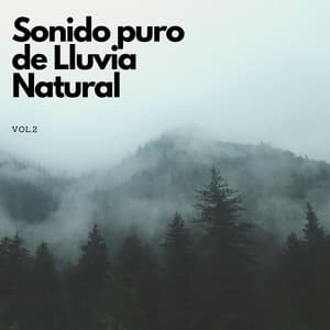 Sonido Puro De Lluvia De La Natural Vol. 2 - Escuela de Lluvia
