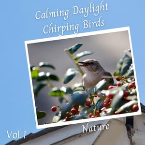 Nature: Calming Daylight Chirping Birds Vol. 1 - Sleep Sounds