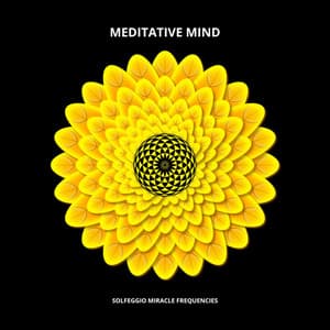 Meditative Mind - Solfeggio Miracle Frequencies