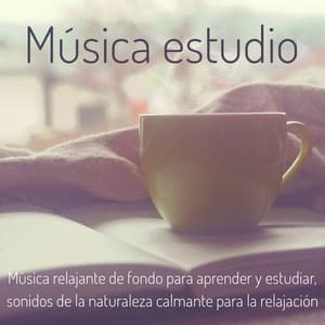 Música estudio – Música relajante de fondo para aprender y estudiar, sonidos de la naturaleza calmante para la relajación - Zona de música concentración