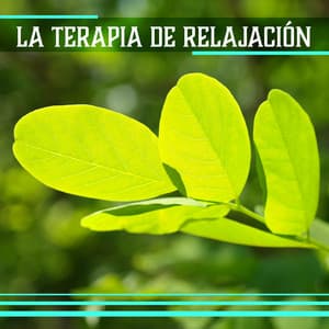 La Terapia de Relajación: Zen 100% Relajante Sonidos de la Naturaleza de Anti Estrés, La Armonía y el Bienestar - Música Zen Relajante Conjunto