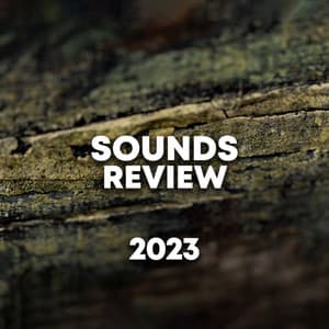 Sounds Review 2023 - Rain Recorders