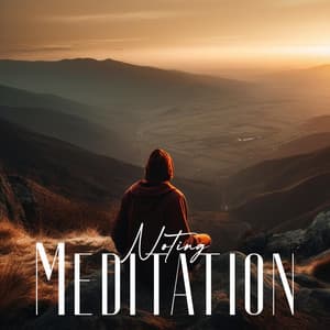 Noting Meditation: Mindfulness Practice with Mental Noting - Mindfulness Music Guys
