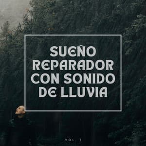 Sueño reparador con sonido de lluvia Vol.1 - Los durmientes de agua