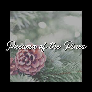 Pneuma of the Pines - Wildlife Sound Recordings