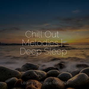 Chill Out Melodies | Deep Sleep - Relaxation Personal Guru