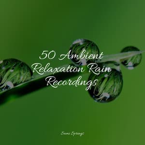 50 Ambient Relaxation Rain Recordings - Tibetan Singing Bowls for Relaxation