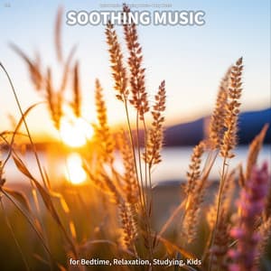 #01 Soothing Music for Bedtime, Relaxation, Studying, Kids - Quiet Music