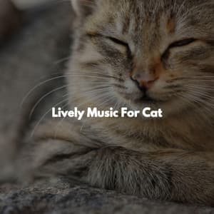 Lively Music For Cat - Chillout Jazz
