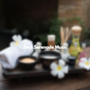 Soul Serenade Music - Afternoon Recharge
