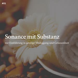 * Sonance mit Substanz zur Einführung in geistige Müßiggang und Gelassenheit * - Schlafmusik