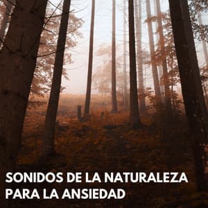 Sonidos De La Naturaleza Para La Ansiedad - Fondo de naturaleza y sonidos
