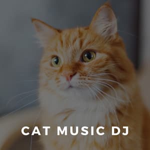 Stress Relief For Cats - Cat Music DJ