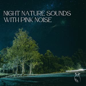 Night Nature Sounds with Pink Noise: Soft Crickets, Owls, Water & Rain, Loopable - Sounds of the Night