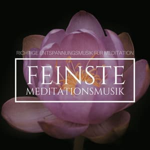 Feinste Meditationsmusik: Richtige Entspannungsmusik für Meditation - Schlafen Akademie